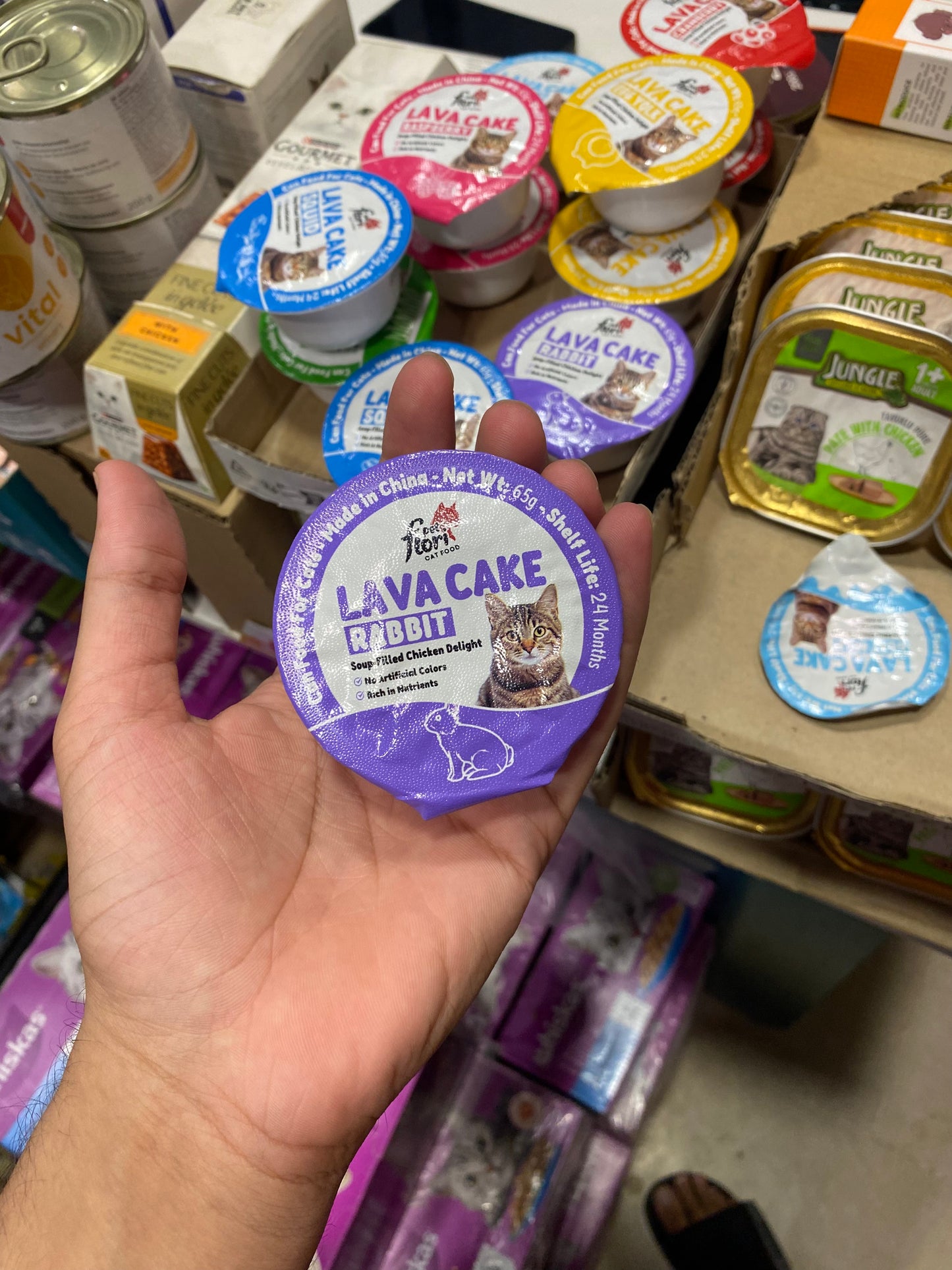 Flori Pet Lava Cake Creamy Cat Treats ā Assorted Flavors (65g)