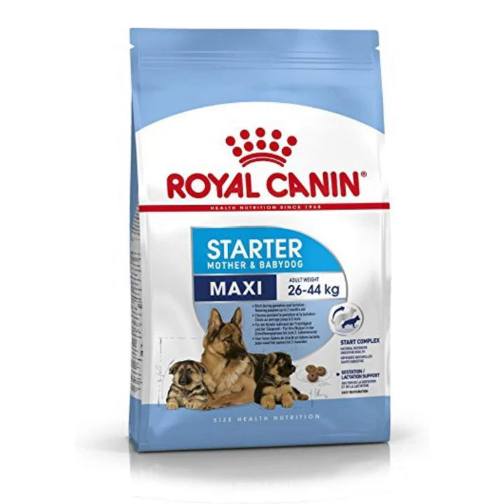 Royal Canin Maxi Starter – 4 KG