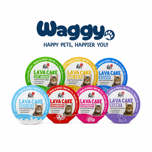 Flori Pet Lava Cake Creamy Cat Treats – Assorted Flavors (65g)